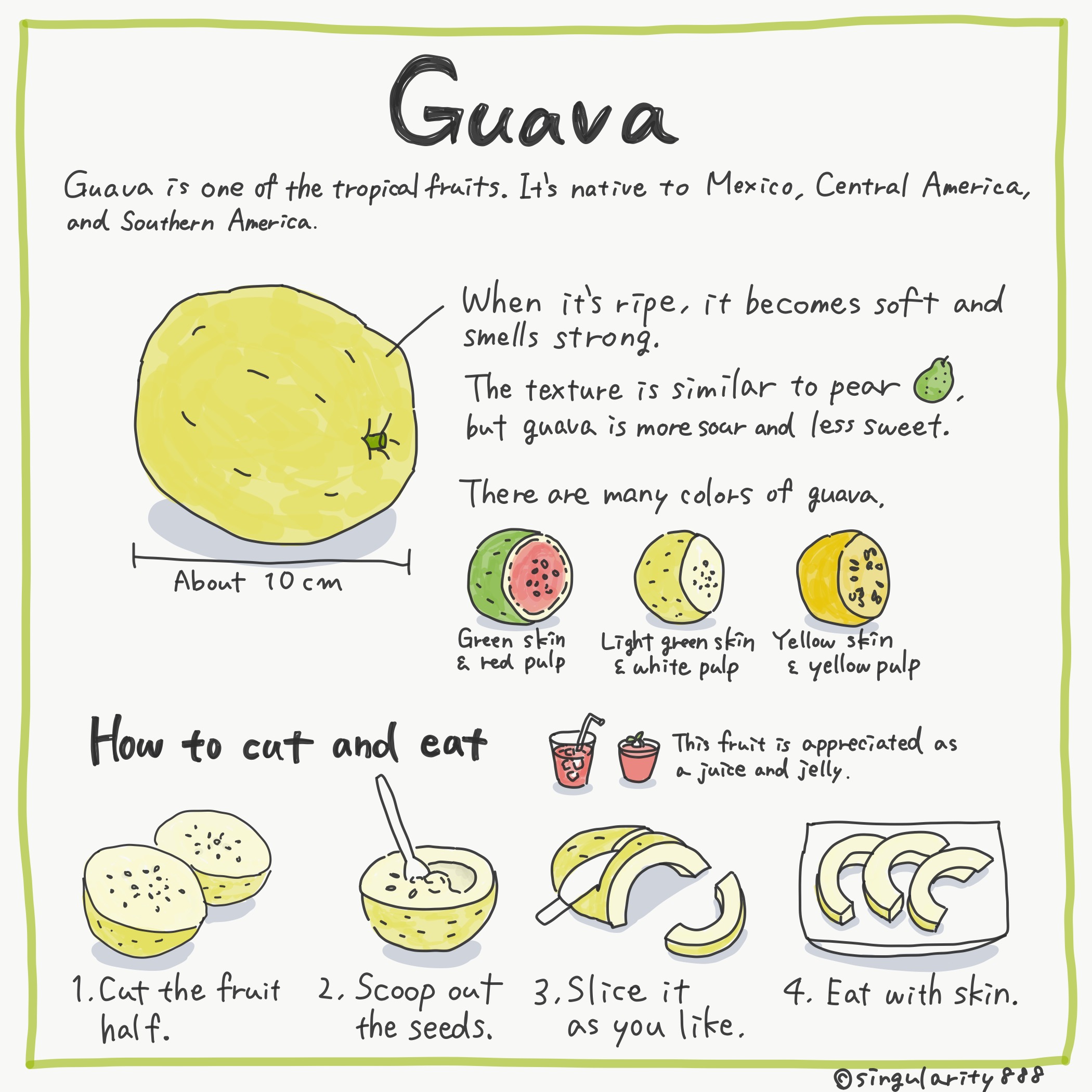 Guava Image